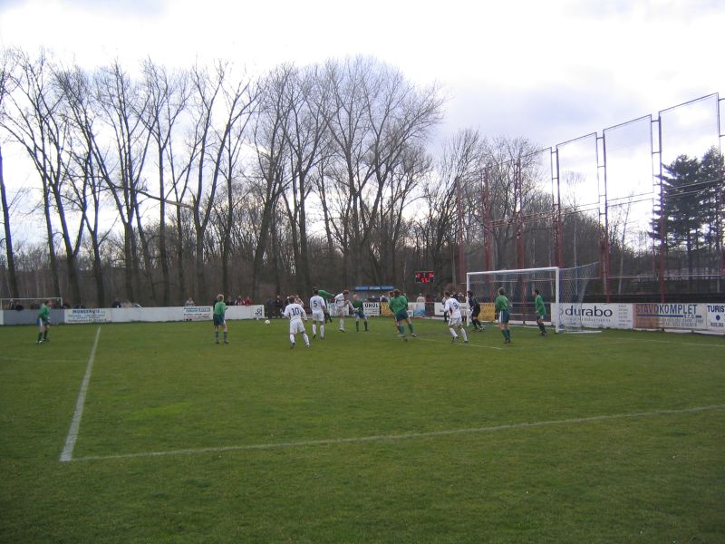 slavojstbol4.jpg